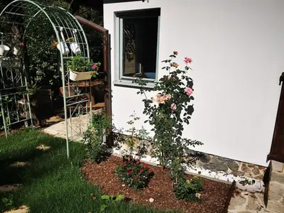 a garden with flowers growing on the side of a house at fairy tale cottage on water stream, 30 minutes from South Prague in Davle