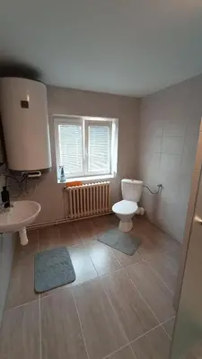 a bathroom with a toilet and a sink at Apartmán Mělník 330 in Mělník