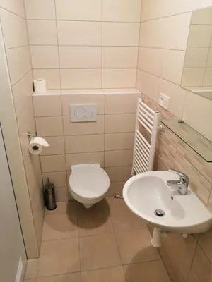a bathroom with a toilet and a sink at Hotel Marianeum in Prague