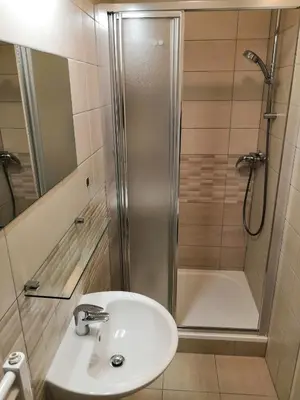 a bathroom with a shower and a sink and a shower at Hotel Marianeum in Prague
