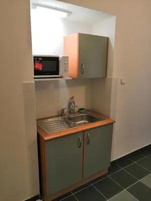 a small kitchen with a sink and a microwave at Hotel Marianeum in Prague