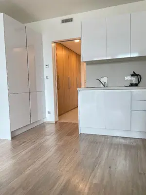 an empty kitchen with white cabinets and a wooden door at Harmony106 in Prague