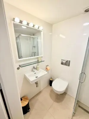 a bathroom with a toilet and a sink and a mirror at Apartment Divadelni - Historic Center & steps from Charles Bridge in Prague