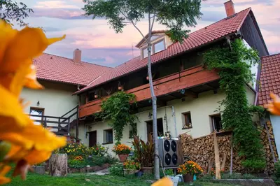 a house with a wooden roof with flowers in the yard at Ráj za humny in Černé Voděrady