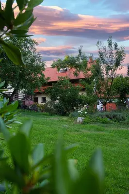 a house in a field of grass with trees at Ráj za humny in Černé Voděrady