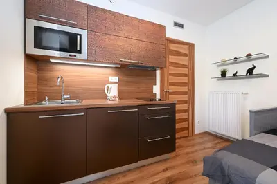 a kitchen with a sink and a tv on a wall at New Apartment in Heart of Prague in Prague