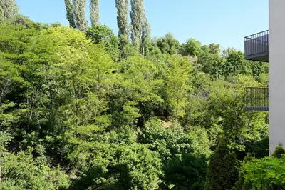 a view of a forest with trees and a building at New Apartment in Heart of Prague in Prague