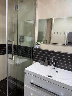 a bathroom with a sink and a glass shower at City view Apartment Lenka in Prague