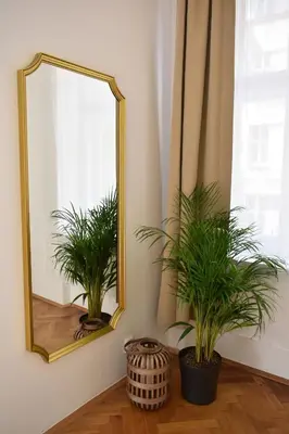 a mirror in a room with two potted plants at Central one bedroom apartment in Prague