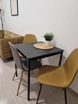 a black table with chairs and a potted plant on it at Apartmán Grébovka in Prague