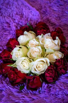 a bouquet of white and red roses on a purple blanket at White Rabbit's Residence in Prague