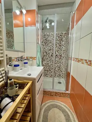a bathroom with a shower and a sink at Klidné ubytování u Prahy in Sluhy