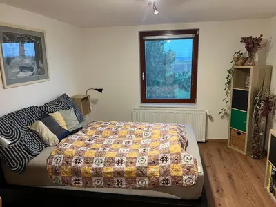 a bedroom with a bed and a window at Klidné ubytování u Prahy in Sluhy