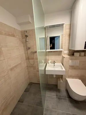 a bathroom with a sink and a toilet and a shower at Apartmán Slapy - Ždáň in Slapy