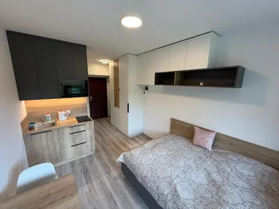 a bedroom with a bed and a sink in it at Apartmán Slapy - Ždáň in Slapy