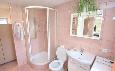 a pink bathroom with a shower and a toilet and a sink at Oáza klidu v Březové in Březová