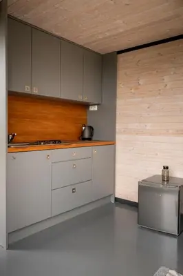 a kitchen with white cabinets and a wooden wall at Tiny House Sedla in Velká