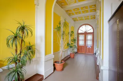 a hallway with potted plants and a yellow wall at Sokol House New Town in Prague