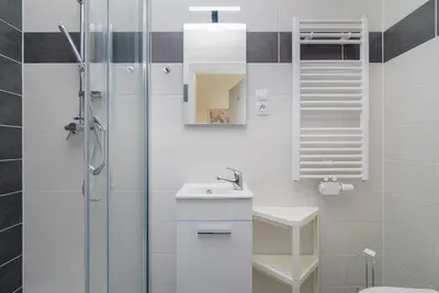 a white bathroom with a sink and a shower at Sokol House New Town in Prague