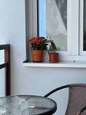 two plants sitting on a window sill with a table at A large 1 bedroom apartment with an available private parking in Prague