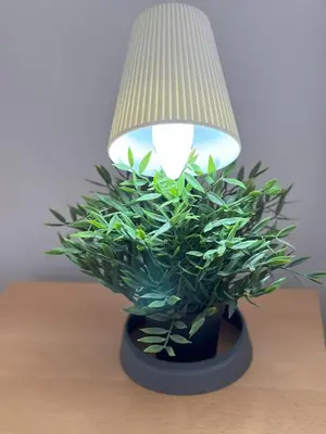 a plant in a black pot under a lamp at Prague Deluxe City Center Apartment in Prague