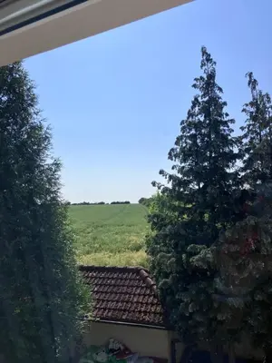 a view from the window of a house with a christmas tree at Dvůr Stupice