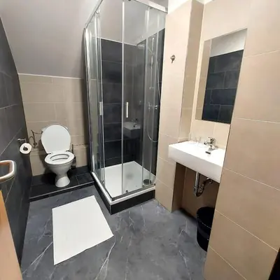 a bathroom with a shower and a toilet and a sink at Dvůr Stupice