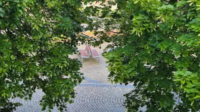 two benches sitting between two trees in a park at Hotel Radnice Dobrovice in Dobrovice