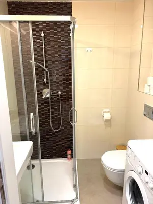 a bathroom with a shower and a toilet at Museum Garden Stay in Prague