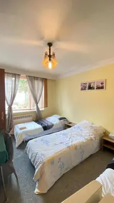 a bedroom with two beds and a ceiling fan at ALEX-ASIE-EU penzion in Unhošť
