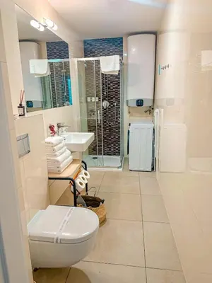 a bathroom with a toilet and a sink and a shower at True Relax Apartman 2 bedrooms Wenceslas square in Prague