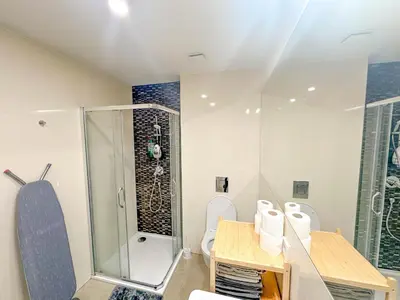 a bathroom with a shower and a toilet at Elegant Apartment Near Main Station & Wenceslas Sq in Prague