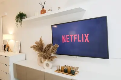 a television on a wall with the netflix sign on it at Leo Cozy Flat Big Balcony Prague in Prague
