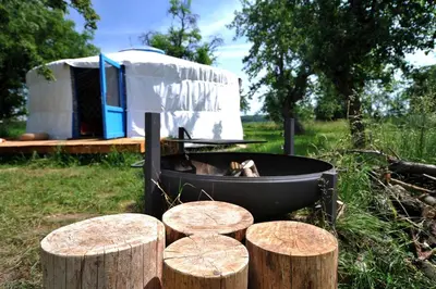 a dog is sitting in a fire pit with some logs at Idyllic Yurt with Organic Fruit Garden near Cesky Brod, Czech Republic in Český Brod