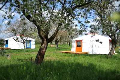 a white and orange yurt in a field with trees at Idyllic Yurt with Organic Fruit Garden near Cesky Brod, Czech Republic in Český Brod