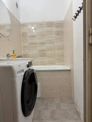 a bathroom with a washing machine and a bath tub at Lužiny in Prague