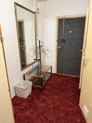 a bathroom with a mirror and a red carpet at Lužiny in Prague