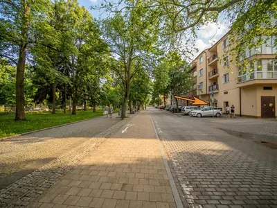 a cobblestone street in a park with trees and buildings at Apartmán Ve středu dění in Poděbrady