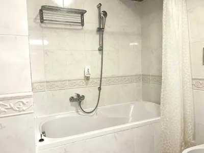 a bathroom with a bath tub with a shower at The Dragonfly Residence in Prague
