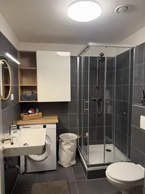 a bathroom with a shower and a toilet and a sink at Kubánské náměstí in Prague