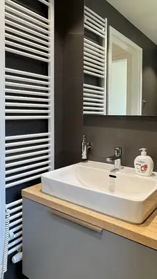 a bathroom with a white sink and a mirror at Spacious urban apartment with terrace in Prague