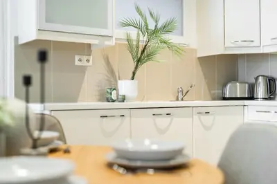a kitchen with white cabinets and a potted plant at Rentero Central Two Bedroom Apartment in Prague - Two bathroom - Parking in Prague