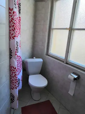 a bathroom with a toilet and a shower curtain at 3 min Walk Old Town Center private room B in Prague