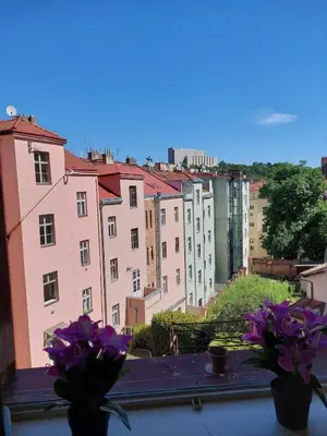 a view of a city from a window with purple flowers at Apartment Near City Center! in Prague