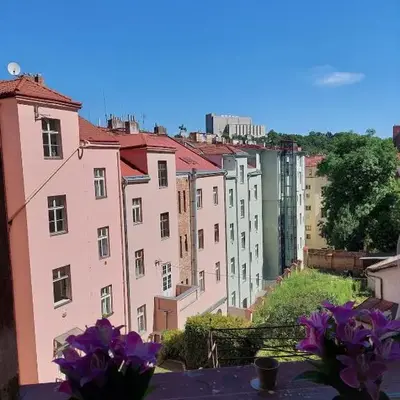 Apartment Near City Center!