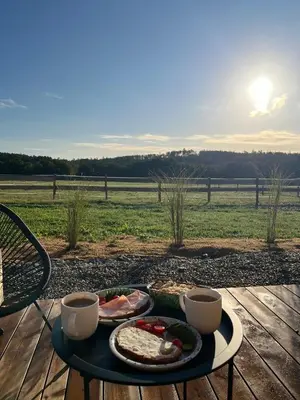 a table with a tray of food and two cups of coffee at Tiny u koníků