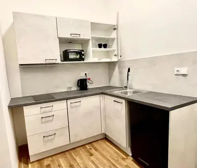 a small kitchen with white cabinets and a sink at The Hrad nest in Prague