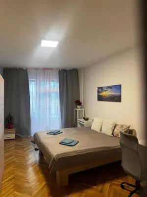 a bedroom with a large bed in a room at Kamenicka new! in Prague