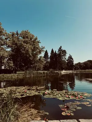 a pond with lily pads in the water at Kamenicka new! in Prague