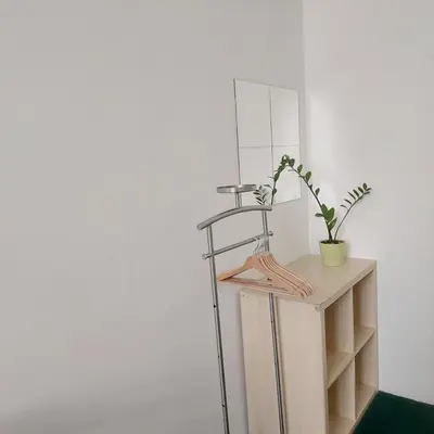 a shelf with a plant on it next to a mirror at Charles bridge, Old town3 Min walk Private Room C in Prague